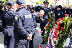 Borovo Selo28